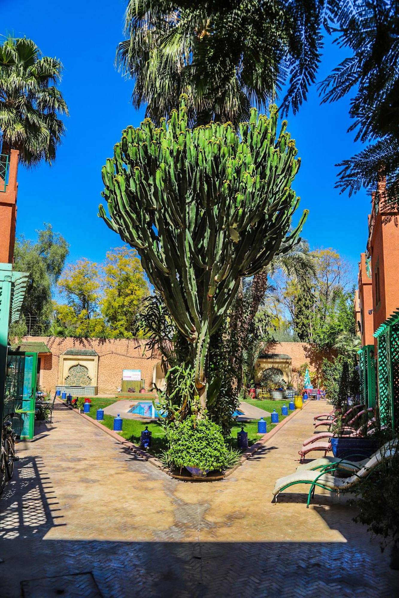 16 Riads Marrakesch Exterior foto